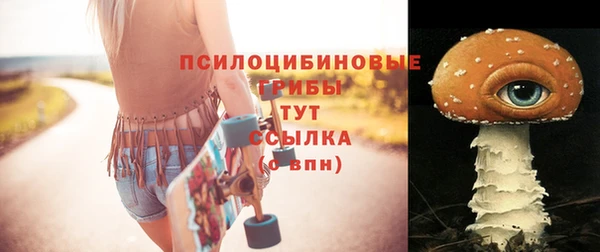 дурь Балахна