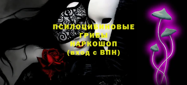 дурь Балахна
