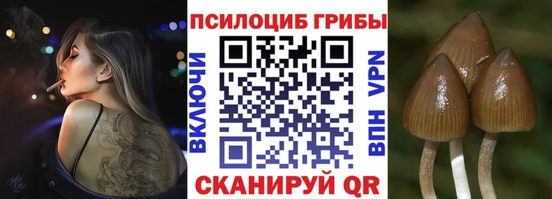 Купить где  Партизанск  Галлюциногенные грибы ЛСД 